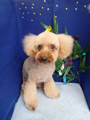 『さっぱりしたね♪』