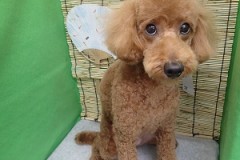 『移動もがんばるぞー！！』