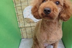 『気持ちよかったー♪』