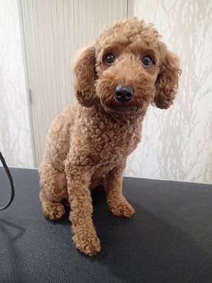 『暑いし短くね♪』