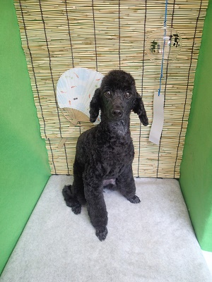 『顔もスッキリ☆』