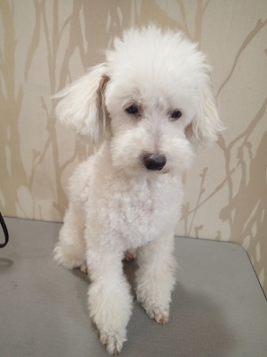 『引き続き前回のカットでよろしく！！』