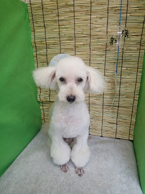 『だいぶ成長してきたね！』