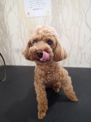 『いつも通りに短くお願いね！』