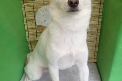 『良い子に出来てたでしょ？』