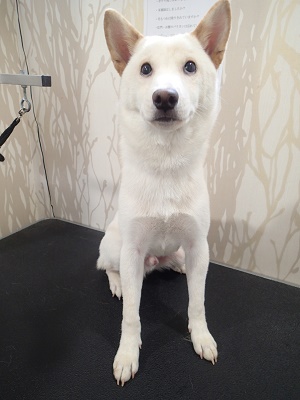 『ドキドキだね！』