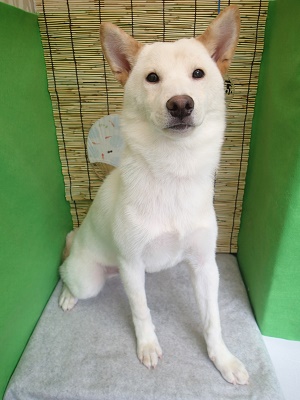 『良い子に出来てたでしょ？』