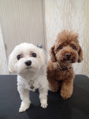 『今日もよろしくね☆』