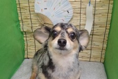 『すごく軽くなったー♪』