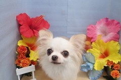 『サッパリしました♪』