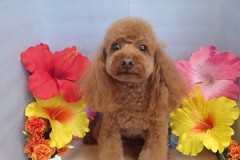 『気持ちよかったー♪』