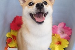 『すっきりしたー！！』