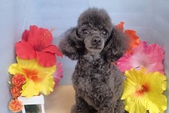 『スッキリしたー♪』