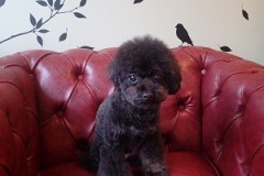 ＃oneflapに行ったよ