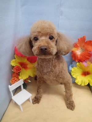 『うん！スッキリしたー！！』