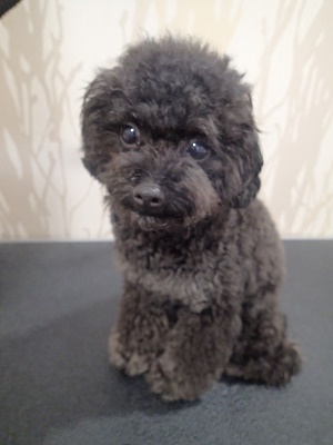 『いつも通りにしてください！』