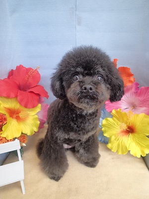 『この長さがキープできたらなー』