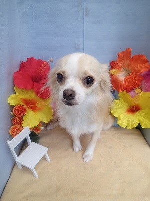 『できてたでしょ？！』