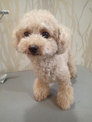 『さーて、今日もよろしくね！』