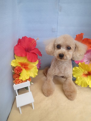 『あーすっきりした！』