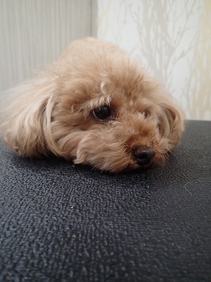 『眠いなー。』