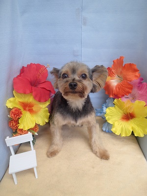 『すっきりカットしてもらえました♪』