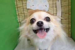 『サッパリ☆気持ちいい～』