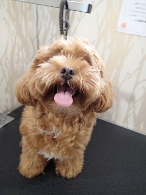 『サッパリしてもらえたら！』