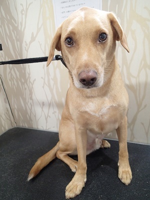 『今日も頑張ろう！』