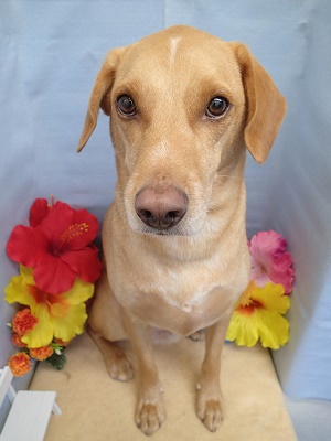 『サッパリさせてもらいましたよ。』