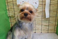 『サラサラになりました☆』