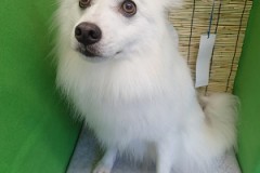 『綺麗になったでしょ～♪』