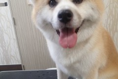 『サッパリしたわ♪』