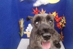 『スッキリしました～☆』