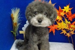 『今日も良い子だったしょ？』