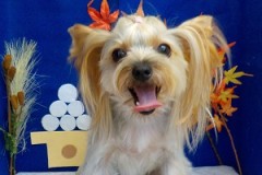 『サラサラで気持ちいい♪』