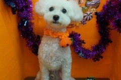 『かわいくしてもらったよ♪』