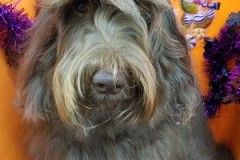 『サラサラになりました☆』