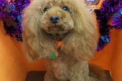 『ふわっふわだよ♪』