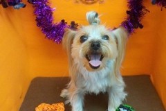 『ツヤツヤになったー♪』