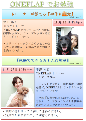 %e6%89%8b%e4%bd%9c%e3%82%8a%e9%a3%9f%e3%81%a8%e3%81%8a%e6%89%8b%e5%85%a5%e3%82%8c%e3%82%bb%e3%83%9f%e3%83%8a%e3%83%bc-jpeg