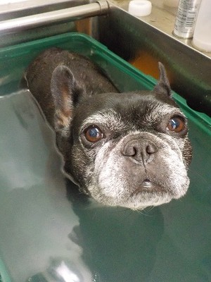 『これもあんまし好きではないからね？』