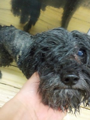 11-10%e3%81%8b%e3%81%84-3