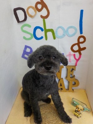 『すっきりしたー！！！』