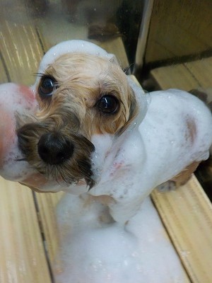 11-10%e3%81%95%e3%82%89-2