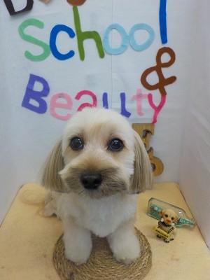 『サラサラに仕上がりました！』