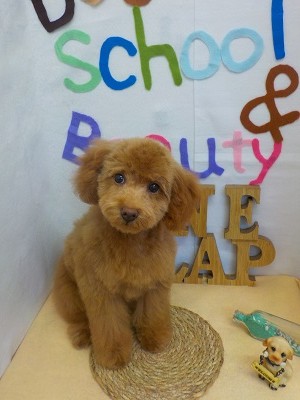 『サッパリしました♪』