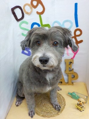 『どうかな？りゅうちぇるくんっぽい？？』