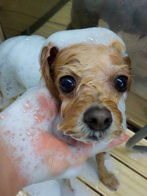 11-11%e3%82%82%e3%82%93-2