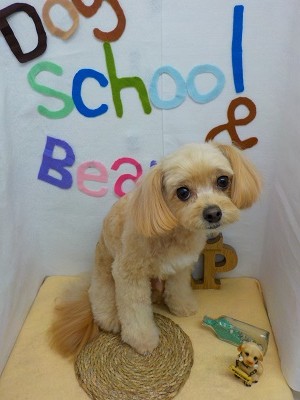 『整えてもらいました☆』